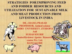 STRATEGIES FOR IMPROVING FEED AND FODDER RESOURCES AND