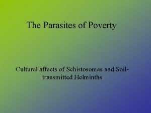 The Parasites of Poverty Cultural affects of Schistosomes