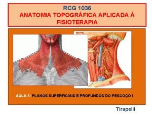 Esternocleidomastóideo Esternocleidomastóideo