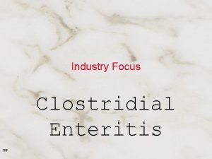 Industry Focus Clostridial Enteritis IHP Vision without action