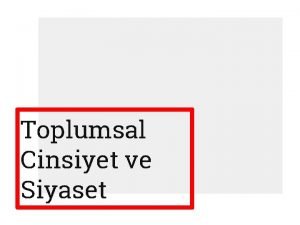 Toplumsal Cinsiyet ve Siyaset Toplumsal cinsiyet ve siyaset