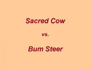 Bum steer cow