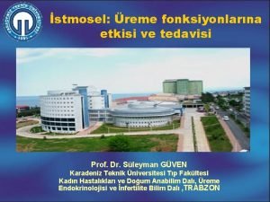 stmosel reme fonksiyonlarna etkisi ve tedavisi Prof Dr