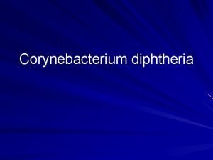 Corynebacterium diphtheria Difteri tonsiller farinks larinks burun deri