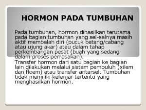 Hormon tumbuhan Hormon tumbuhan
