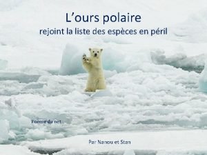 Lours polaire rejoint la liste des espces en