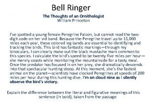 Bell Ringer The Thoughts of an Ornithologist William