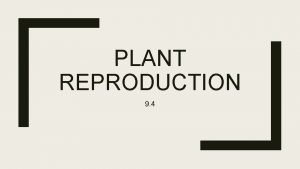 PLANT REPRODUCTION 9 4 Plants can reproduce in
