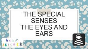 Eyes are to spectacles as ears are to