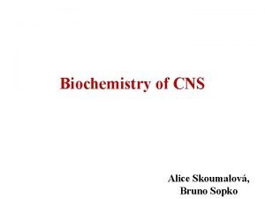 Biochemistry of CNS Alice Skoumalov Bruno Sopko Structure