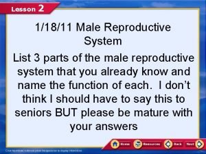 Lesson 2 the male reproductive system