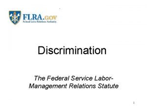 Federal service labor management relations statute