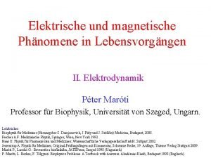 Elektrische und magnetische Phnomene in Lebensvorgngen II Elektrodynamik