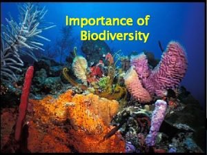 Importance of biodiversity