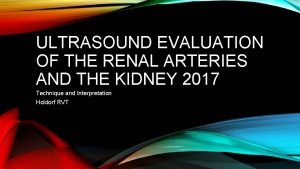 ULTRASOUND EVALUATION OF THE RENAL ARTERIES AND THE