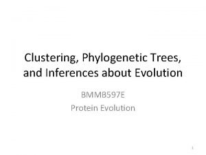 Clustering Phylogenetic Trees and Inferences about Evolution BMMB