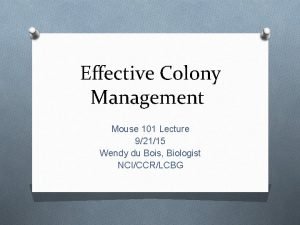 Mouse colony management software