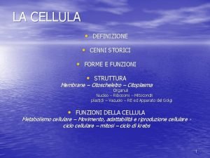 LA CELLULA DEFINIZIONE CENNI STORICI FORME E FUNZIONI