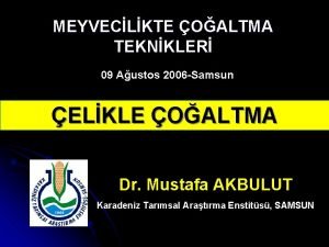 MEYVECLKTE OALTMA TEKNKLER 09 Austos 2006 Samsun ELKLE