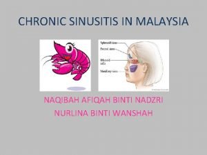 CHRONIC SINUSITIS IN MALAYSIA NAQIBAH AFIQAH BINTI NADZRI