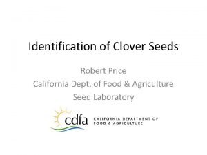 Identification of Clover Seeds Robert Price California Dept