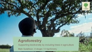 Agroforestry Supporting biodiversity by including trees in agriculture