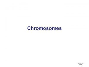 Chromosomes M 3 are very smelly Chromosomes DNA