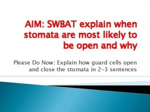 AIM SWBAT explain when stomata are most likely