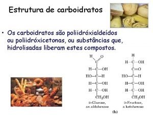 Fosfoesfingolipídeos