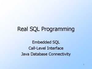 Real SQL Programming Embedded SQL CallLevel Interface Java