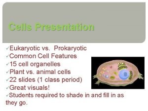 Cells Presentation Eukaryotic vs Prokaryotic Common Cell Features