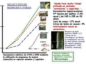 Desde hace mucho tiempo utilizada en animales terrestres