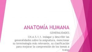 Posiciones anatomicas del cuerpo humano