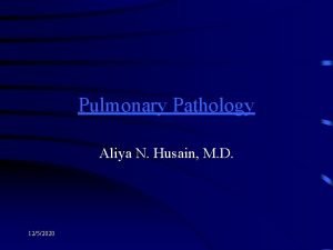 Pulmonary Pathology Aliya N Husain M D 1252020