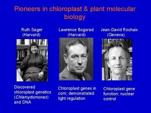 Pioneers in chloroplast plant molecular biology Ruth Sager