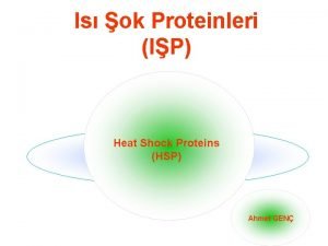 ısı şok proteinleri