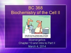 BC 368 Biochemistry of the Cell II Bioenergetics