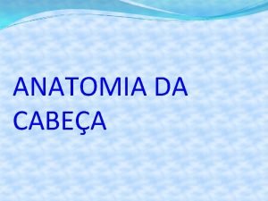 ANATOMIA DA CABEA A cabea dividida em duas