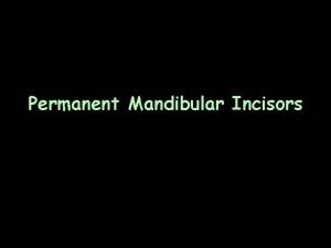 Permanent Mandibular Incisors Introduction Simplest least variable teeth