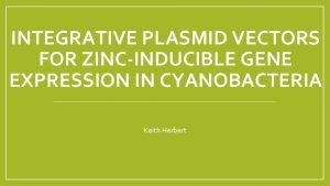 Integrative plasmid