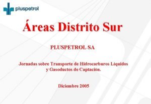 reas Distrito Sur PLUSPETROL SA Jornadas sobre Transporte