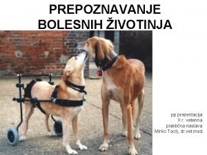 PREPOZNAVANJE BOLESNIH IVOTINJA pp prezentacija II r veterina