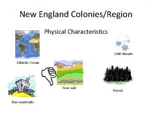 Southern colonies physical characteristics