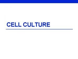 CELL CULTURE What is Cell Tissue Culture Tissue