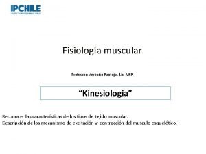 Fisiologa muscular Professor Vernica Pantoja Lic MSP Kinesiologia