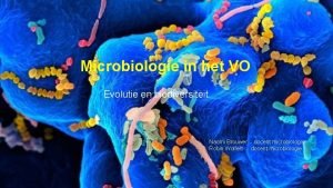 Microbiologie in het VO Evolutie en biodiversiteit Naomi