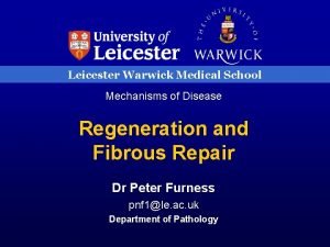 Leicester warwick medical school