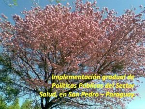 Implementacin gradual de Polticas Pblicas del Sector Salud