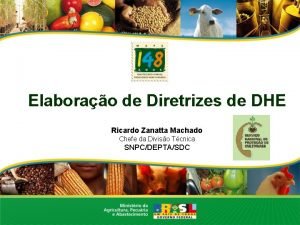 Elaborao de Diretrizes de DHE Ricardo Zanatta Machado