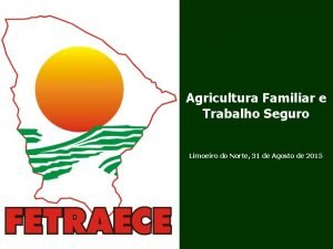 Salud digna veracruz norte Salud digna veracruz norte